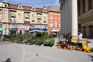 Manifestacija "Cvetna jesen u Subotici"