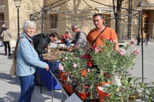Manifestacija "Cvetna jesen u Subotici"