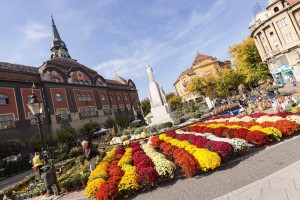 Manifestacija "Cvetna jesen u Subotici"