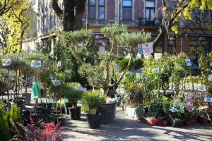 Vašar domaće hrane i starih zanata "Meet and eat"