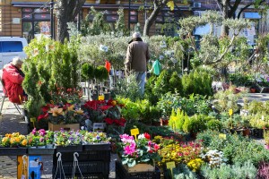 Vašar domaće hrane i starih zanata "Meet and eat"