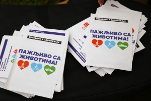 Akcija u susret Svetskom danu sećanja na žrtve saobraćajnih nezgoda