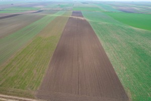 Arheološki iskop na lokaciji kod Bačkog Dušanova