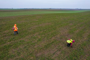 Arheološki iskop na lokaciji kod Bačkog Dušanova