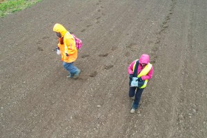 Arheološki iskop na lokaciji kod Bačkog Dušanova