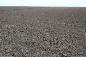 Arheološki iskop na lokaciji kod Bačkog Dušanova