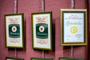 Pokazna izložba „Kevidinka 24“