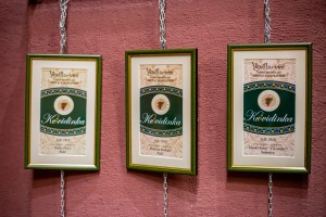 Pokazna izložba „Kevidinka 24“