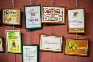 Pokazna izložba „Kevidinka 24“