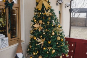 Dnevni doček Nove godine - prednovogodišnje zagrevanje #NG2025