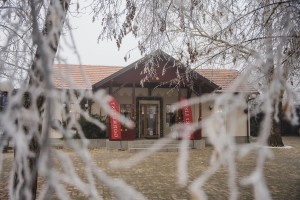 Dnevni doček Nove godine - prednovogodišnje zagrevanje #NG2025