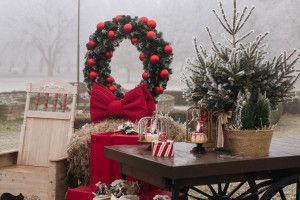 Tradicionalni seoski piknik