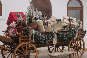 Tradicionalni seoski piknik