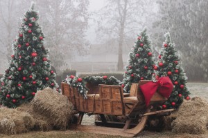 Tradicionalni seoski piknik