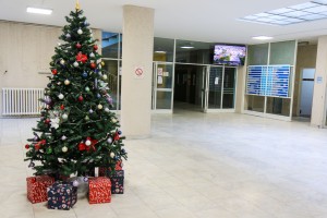 Poseta bolnici - hitnom prijemu i neonatologiji