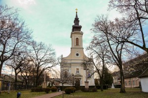 Polazak na seču badnjaka - organizovana povorka do šume, posvećenje i povratak