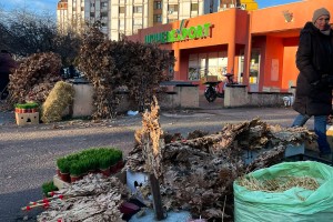 Kupovina na Badnji dan