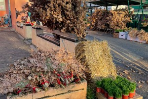 Kupovina na Badnji dan