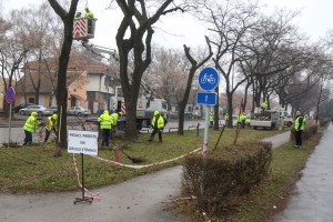 Orezivanje drveća na Segedinskom putu