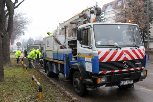 Orezivanje drveća na Segedinskom putu