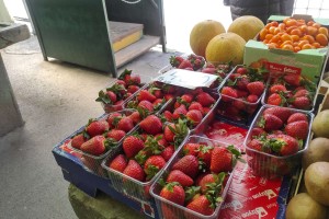 Voće i povrće na Mlečnoj pijaci