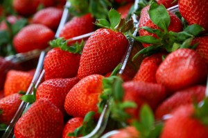 Mlečna pijaca - jagode