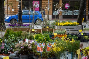 Meet&Eat gastrofestival 2025