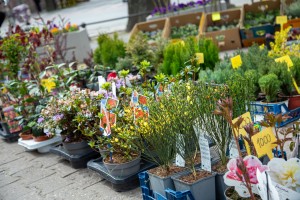 Meet&Eat gastrofestival 2025