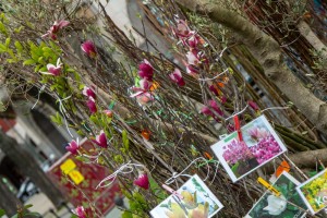 Meet&Eat gastrofestival 2025