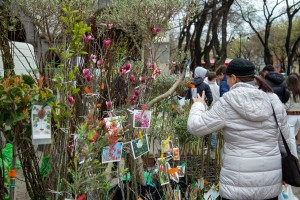 Meet&Eat gastrofestival 2025