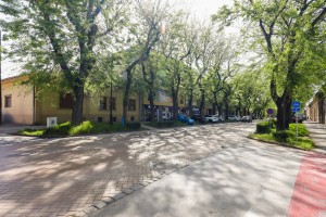 "Elbraco Technoland" otvorio prodajni prostor u Subotici