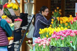 23. sajam cveća "Garden flora"