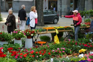 23. sajam cveća "Garden flora"