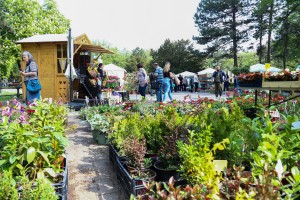 23. sajam cveća "Garden flora"