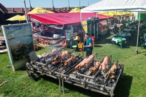 Prvi maj (pre podne) uz obalu palićkog jezera - iz ptičje perspektive