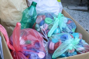 48. "Trimbi" - rekreacija do Palića