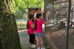 Deca sa planine Ozren, iz maglajske i rakovačke eparhije u poseti Subotici