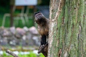 Šetnja Zoološkim vrtom