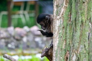 Šetnja Zoološkim vrtom