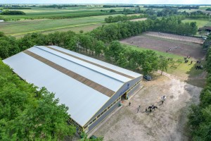 Prvo kolo dresurne lige Srbije