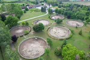 Prvo kolo dresurne lige Srbije