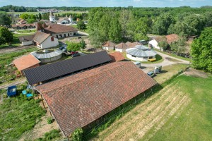 Prvo kolo dresurne lige Srbije