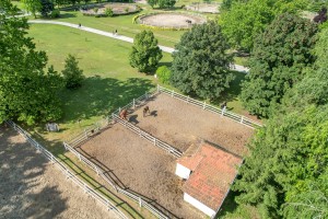 Prvo kolo dresurne lige Srbije