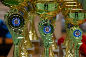 Gradsko prvenstvo akcije " Liga malih šampiona"