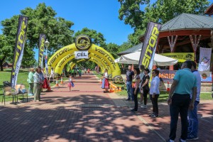 19. Ultramaraton (24h, 12h, 6h, 100km, 50km) na Paliću
