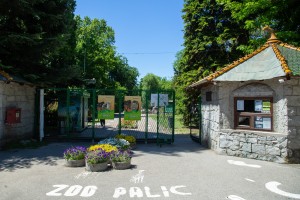 Obeležavanje 75 godina Zoo vrta na Paliću