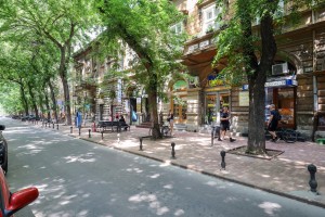 Prodavnica zdrave hrane "TRPS Grocery"