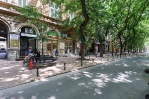 Prodavnica zdrave hrane "TRPS Grocery"