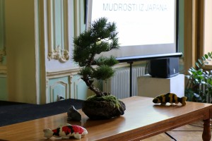 Mudrosti iz Japana - Izložba bonsai drveća
