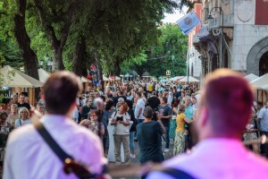 Vinski i gastro festival „Tajne neispričanih kapi“ 2025 - prvi dan